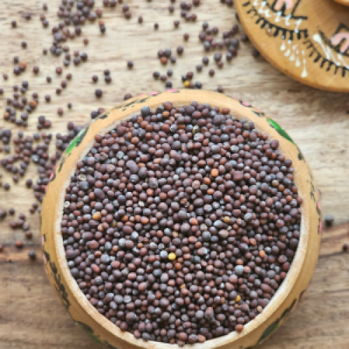 Black Mustard Seeds - Premium Quality from LAR Group b.v